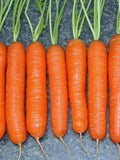 Vegetable Seeds 1000+ Baby Fingers Carrot Seeds - Non-Hybrid - Non-GMO -  Perfect For Saving Year After Year- All Canadian Heirloom Seeds seeds bulk