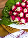 100+ Sparkler White Tip Radish Seeds- Fresh - Organic All Canadian Heirloom Seeds seeds bulk