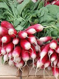 100+ French Breakfast Radish Seeds - Fresh- Organic - All Canadian Heirloom Seeds seeds bulk