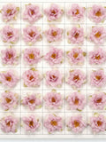 1-500p 5CM Dusty Pink Rose / Artificial Silk Flower Head Fake Rose DIY Flower Garland Decor Hanging Floral Flower Curtain Accent Accessory silk flower