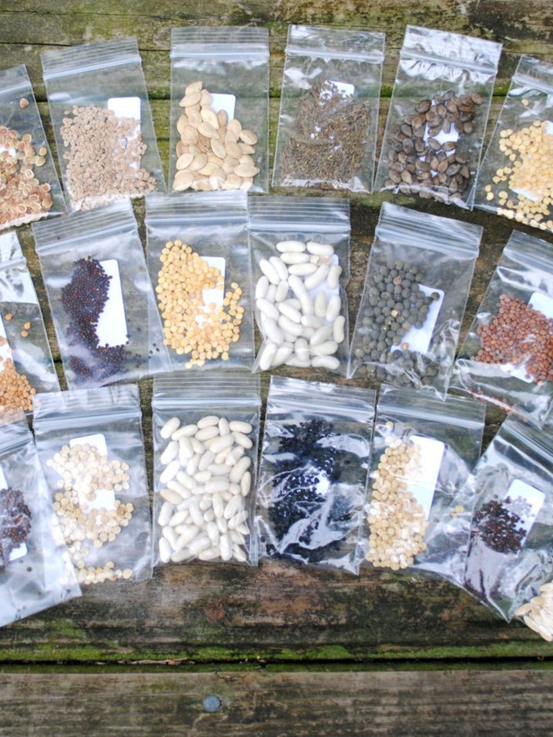 Emergency Survival Vegetable  Non-Gmo, Heirloom Seed Pack-100% Heirloom Seed Kit, Garden gift, Free Shipping in the US, heirloom seeds seeds bulk