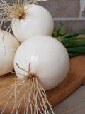 Vegetable Seeds 150+ Organic- White Sweet Spanish Onion Seeds- Heirloom All Canadian Heirloom Seeds seeds bulk