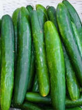 Cucumber Vegetable Seeds Garden Sweet Seedless ( Burpless ) Cucumber Seeds ***Fast Flat Rate Shipping All Canadian Heirloom Seeds seeds bulk