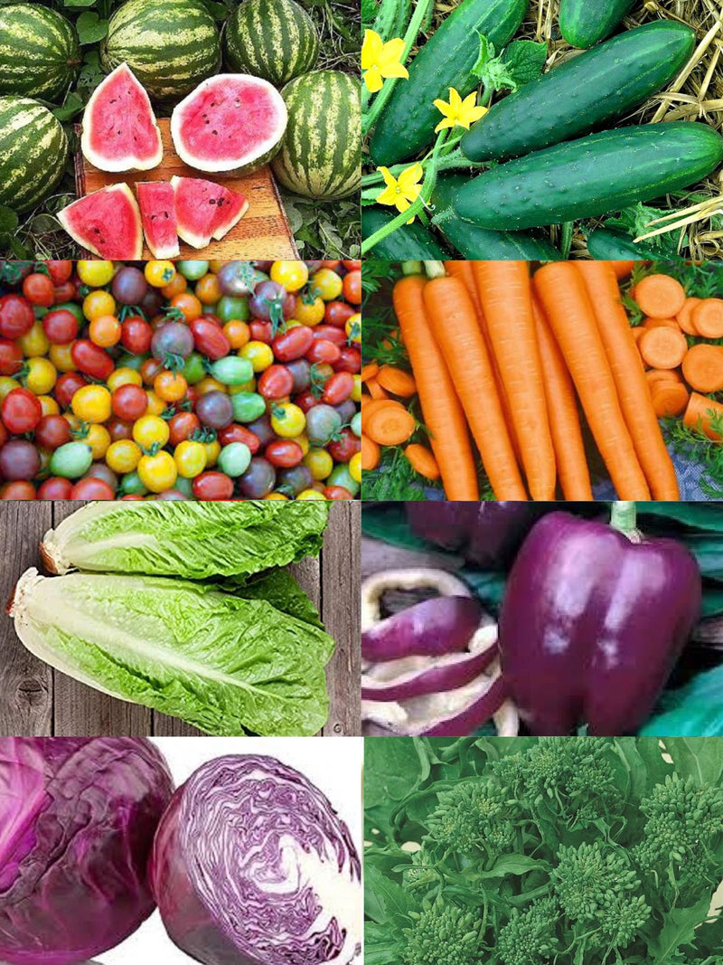 1000+ Heirloom Vegetable Seeds - 8 Variety Garden Pack #8- Organic - (Non-GMO) All Canadian Heirloom Seeds seeds bulk