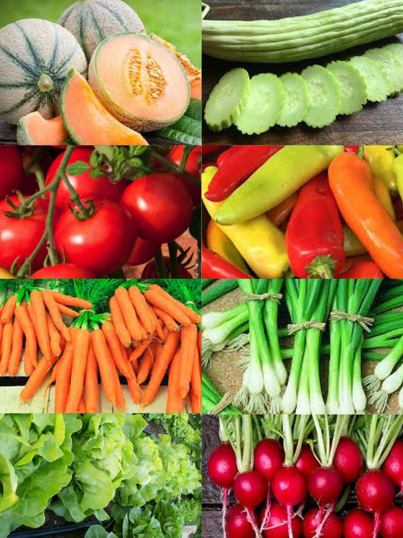 1000+ Heirloom Vegetable Seeds - 8 Variety Garden Pack #7- Organic - (Non-GMO) All Canadian Heirloom Seeds seeds bulk