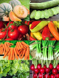 1000+ Heirloom Vegetable Seeds - 8 Variety Garden Pack #7- Organic - (Non-GMO) All Canadian Heirloom Seeds seeds bulk