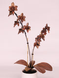Orchid #3 Copper Metal Orchid Flower ANNIVERSARY