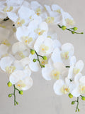 34Ò White Faux Real Touch Phalaenopsis Orchid, Artificial Spring Plant Stem,| Centerpieces | DIY Florals | Wedding/Home Decorations | Gifts faux plants