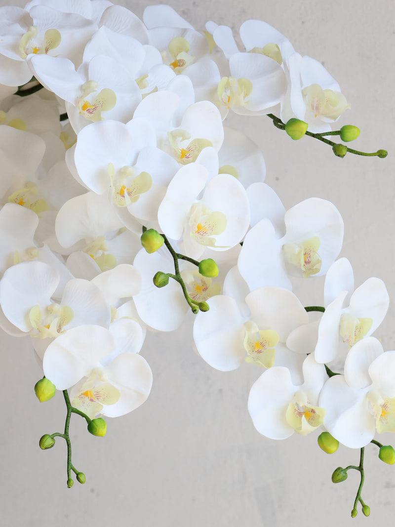 34Ò White Faux Real Touch Phalaenopsis Orchid, Artificial Spring Plant Stem,| Centerpieces | DIY Florals | Wedding/Home Decorations | Gifts FLOWER DELIVERY