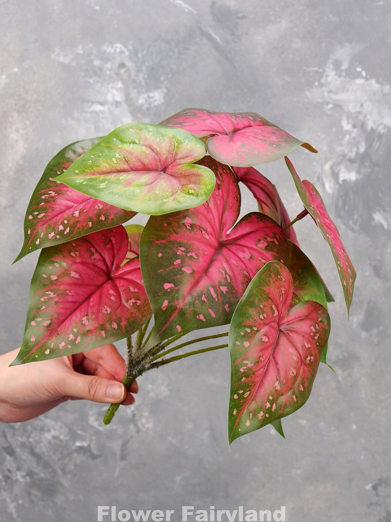 Faux Angel Wings Plant - Caladium Bicolor - Artificial Greenery faux plants