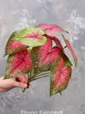 Faux Angel Wings Plant - Caladium Bicolor - Artificial Greenery faux plants