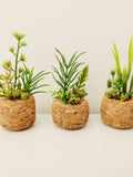 Set of 3 Champagne Cork Faux Plants, Fake Plant Cubicle Decor for Office Desk, Cute Gift for Master Gardener Botanist, Green Dorm Room Decor faux plants