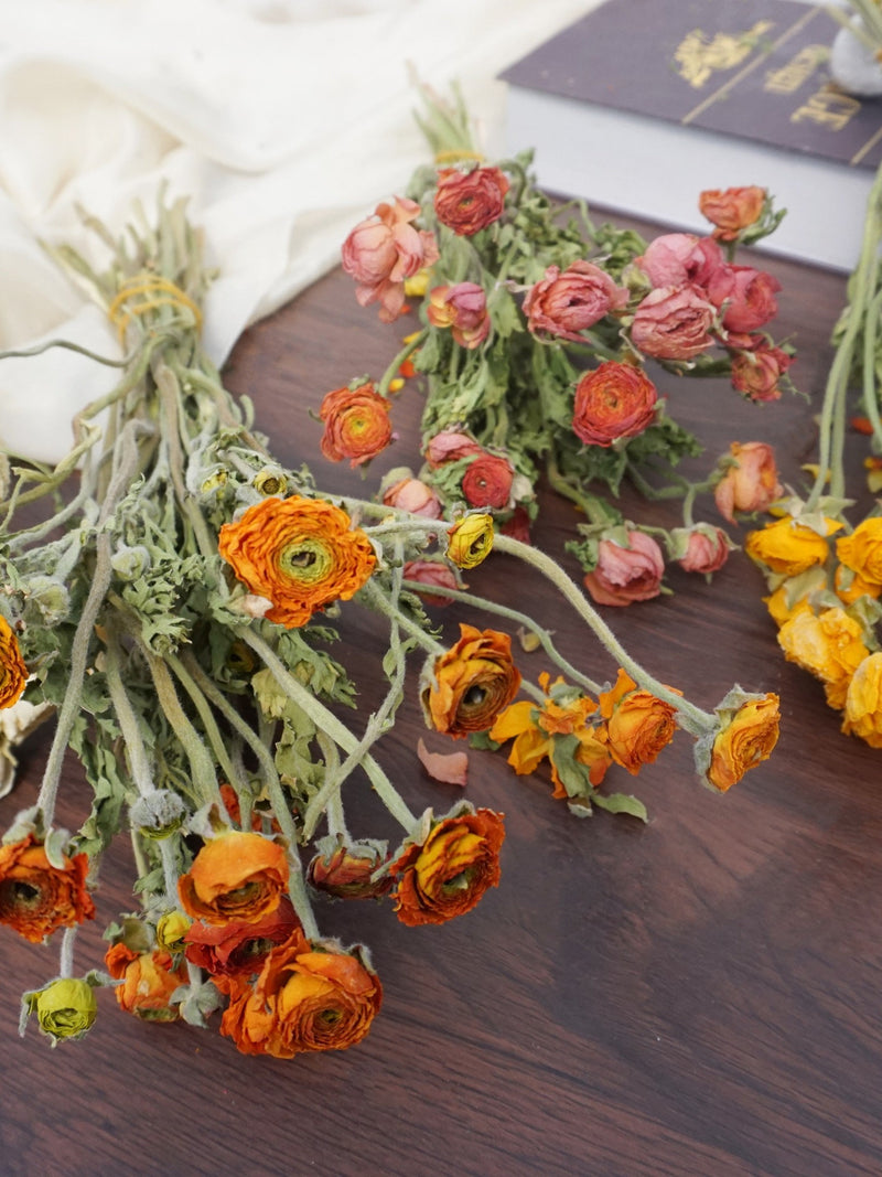 Natural dry Ranunculus asiaticus, dry Peony, wedding flower arrangement, table decoration, home decoration FLOWER DELIVERY