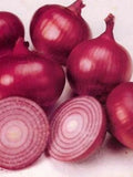 150+ Red Grano Onion Seeds- Heirloom All Canadian Heirloom Seeds seeds bulk