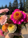Organic Candy Mix Zinnia Seeds, 25 Count seeds bulk