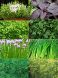 Herb Kit Seeds - 8 Varieties  - Heirloom All Canadian Heirloom Seeds seeds bulk