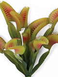 Venus Flytrap Plant - 10" faux plants