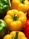 Assorted Bell Pepper Seeds - Organic & Non Gmo Pepper Seeds - Heirloom Seeds - Fresh USA Grown Seeds - Grow Your Own Peppers At Home! seeds bulk