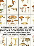 73 Edible & Poisonous Mushroom Illustrations Histoire Naturelle  | HQ Image Bundle Printable Art | Instant Digital Download Commercial Use flower spore