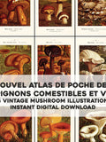 64 Cool Edible & Poisonous Mushroom Illustrations | HQ Image Bundle Printable Wall Art | Instant Digital Download Commercial Use flower spore