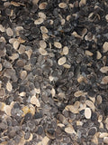 Luffa Seeds: 1 oz (Approx. 50 Seeds) seeds bulk