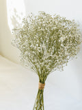Baby's Breath Dried Flower Wedding Bouquet Bouquet