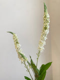 Faux Cream White Veronica Stem - Artificial Flower / Wedding / Bridal Bouquet / DIY Arrangement / Centerpiece / Home Decor / Event / Gifts faux plants