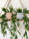 Artificial Bamboo Hanging Plant in Textured Ceramic Pot - Faux Bamboo Trailing Plant - Floating Shelf, Boho Farmhouse Decor Fake Plant faux plants
