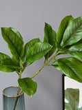 Real Touch Magnolia Foliage Branch, Fake Twigs with Leaves, Artificial Plant Craft, Living Room Floral Decor, Wedding Greenery Arrangement faux plants