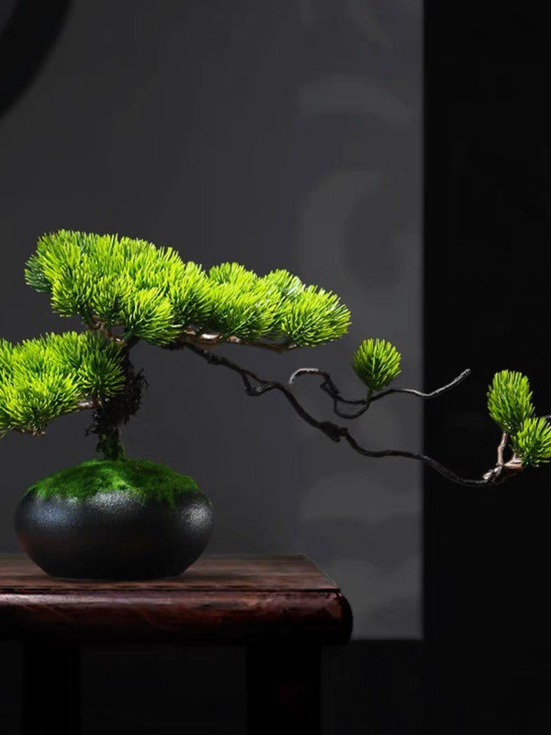 VICKY YAO- Permaplants Artificial Bonsai Tree Juniper Pine Realistic Bark Tall 9in. Ceramic Pot Fake Plants Zen Relaxing Faux Plants forHome faux plants