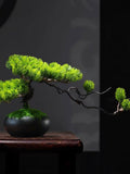 VICKY YAO- Permaplants Artificial Bonsai Tree Juniper Pine Realistic Bark Tall 9in. Ceramic Pot Fake Plants Zen Relaxing Faux Plants forHome faux plants