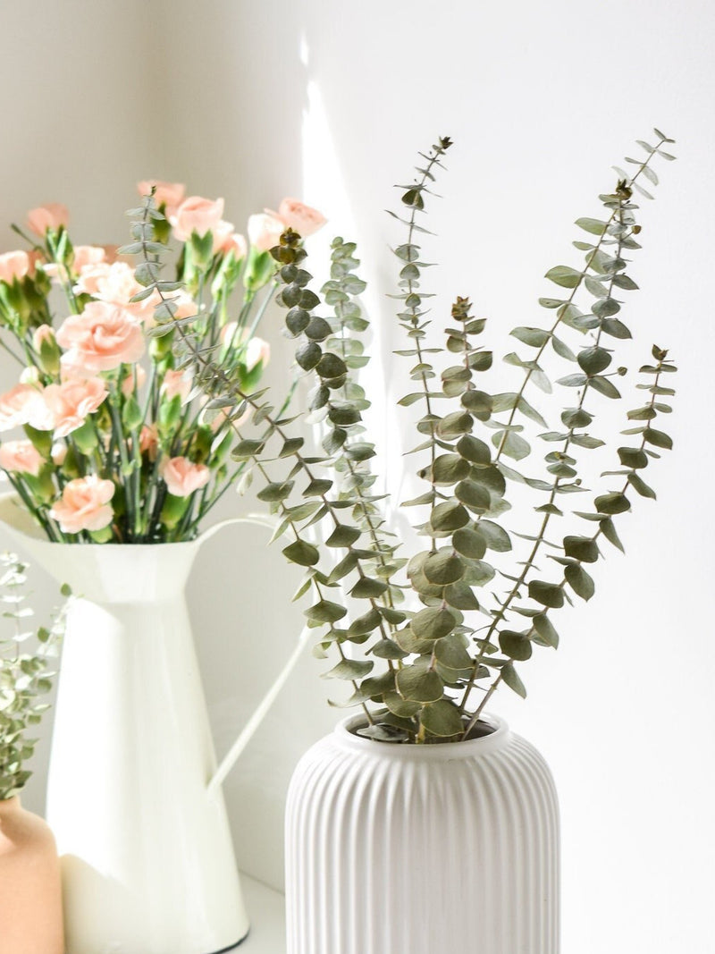 Dried Baby Blue Eucalyptus Stems: Preserved Floral Bouquet Home Decor FLOWER DELIVERY