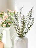 Dried Baby Blue Eucalyptus Stems: Preserved Floral Bouquet Home Decor FLOWER DELIVERY