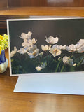 petals, sunshine, garden, nature, photography, ImagesShared, grief, Condolences, sympathy, message, thinking of you, loss sympathy flower