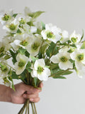 17.5" Fake Helleborus Flowers Branch- Cream Green, Faux Blooms Branch, DIY Florals Arrangement, DIY Wedding/Home Decorations, Gift For Her faux plants