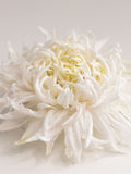 Chrysanthemum silk flower for hair, Large flower brooch, Soft white flower pin and clip - ANTHEMON silk flower