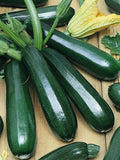 Vegetable Seeds Squash 10 Dark Green Zucchini Seeds- Heirloom - COMBINED SHIPPING ***Fast Flat Rate Shipping All Canadian Heirloom Seeds seeds bulk