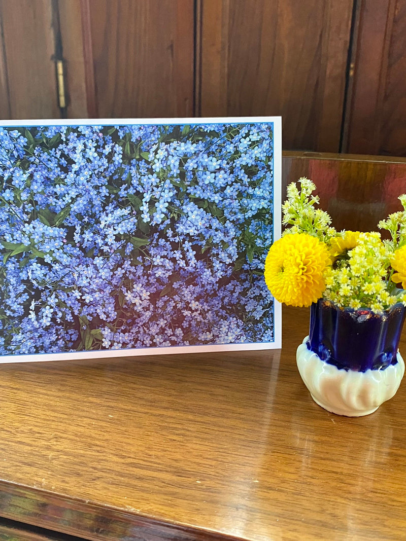 Forget-me-not, Sympathy card, spring, nature, photography, ImagesShared, small business, Canadian, blue, flowers, greeting, correspondence, sympathy flower