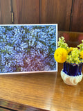 Forget-me-not, Sympathy card, spring, nature, photography, ImagesShared, small business, Canadian, blue, flowers, greeting, correspondence, sympathy flower