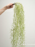 34" Faux Spanish Moss Airplants Wall Hanging Plant - Artificial Plant - Dusty Green faux plants