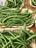 TENDER GREEN BEAN Seed - 6" Long Stringless Green Bush Beans seeds bulk