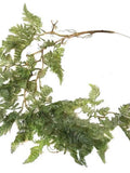 Artificial Trailing Fern, High Quality Fern Garland 90 cm, Faux Hanging Green Fern Stem faux plants