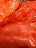 20 Seeds-Ghost Pepper Seeds-Non GMO-Naga Jolokia-Ghost Chili-Cobra Chili-Capsinum Chinense-Z028-Bhut Jolkia flower spore