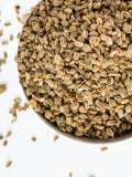 Celery Seed Spice, 1lb BULK | Silybum Marianum | Herbal Tea seeds bulk