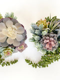 Artificial Succulent Arrangement in handmade Concrete Pot - Stunning & Premium Quality!!! Faux Plant faux plants