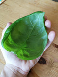Bulk Large Leaf Italian Basil Seeds, Ocimum Basilicum OC052C seeds bulk