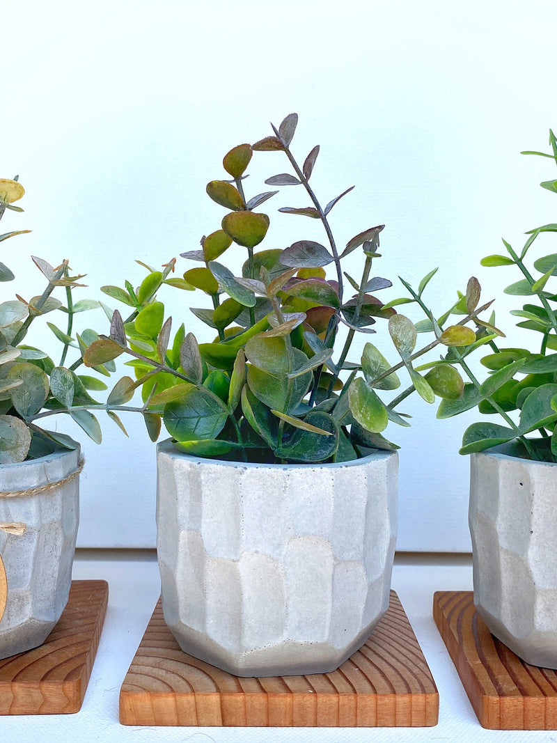 Artificial Eucalyptus Plant in handmade textured Concrete Pot with Wood Tray - available in Pink, Purple or Green, Faux Plant faux plants