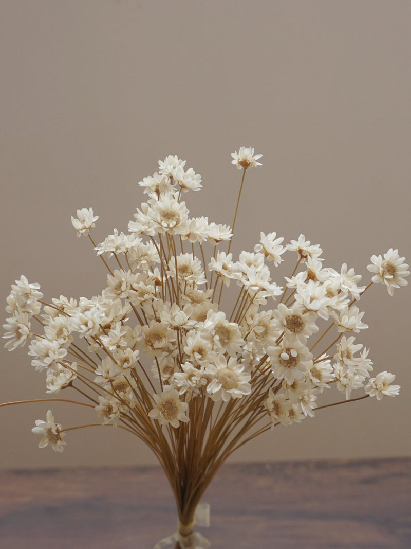 Dried Pink Star Flowers, Mini Blossom Bunch FLOWER DELIVERY