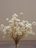 Dried Pink Star Flowers, Mini Blossom Bunch FLOWER DELIVERY