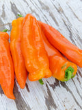 20 Sweet Heirloom Orange Giant Marconi Pepper Seeds flower spore